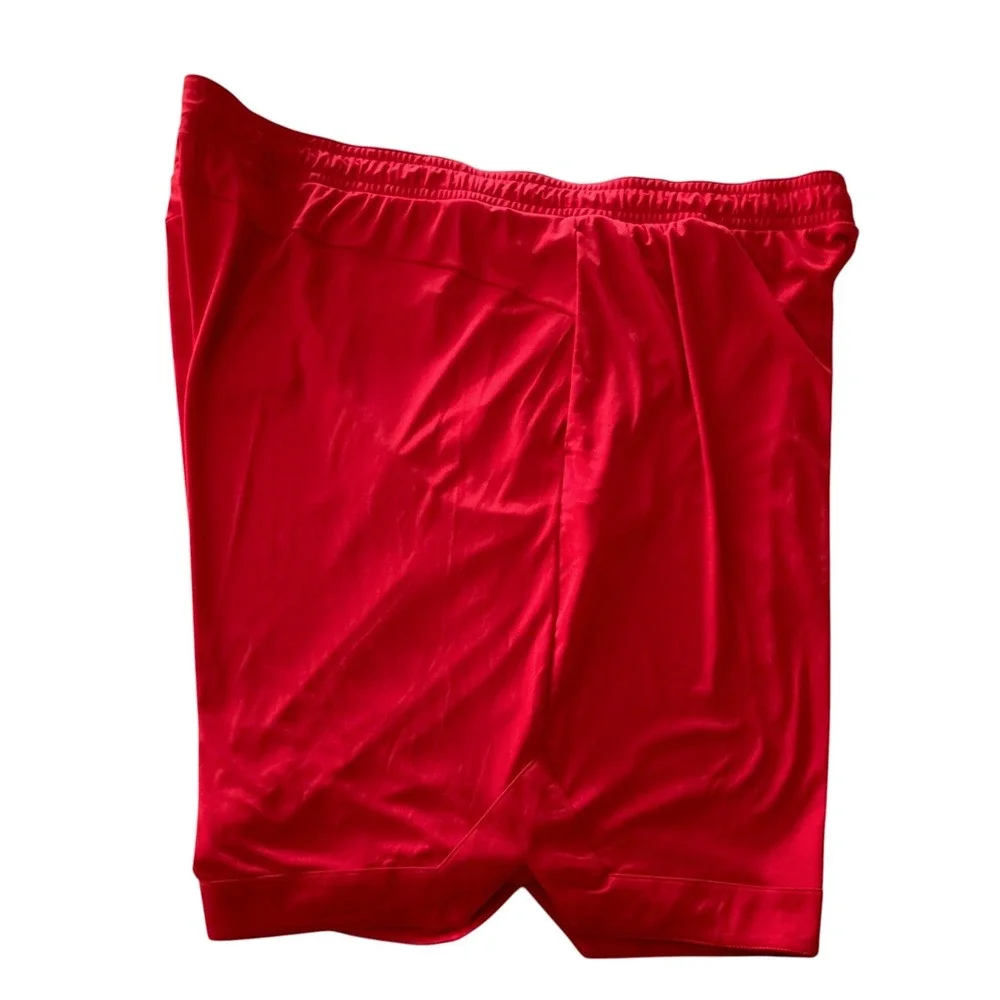 Puma Mens RTG Shiny Fabric Shorts Red DryCell Athletic10 